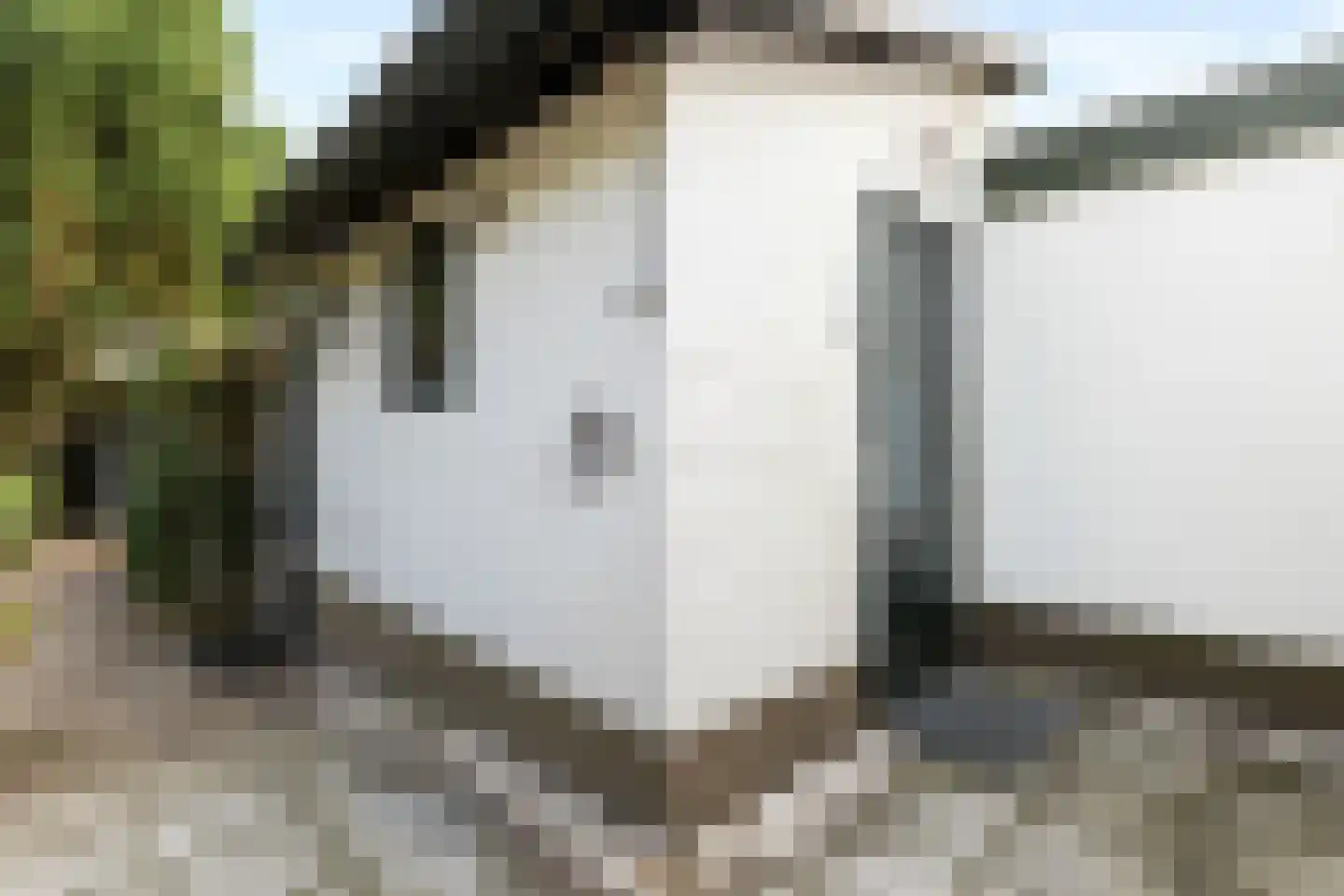 Apollostraat 7 Rheden thumbnail 44