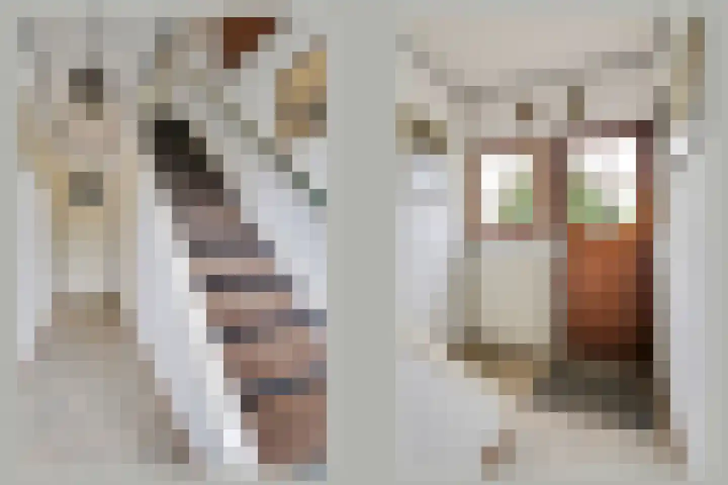 Apollostraat 7 Rheden thumbnail 5