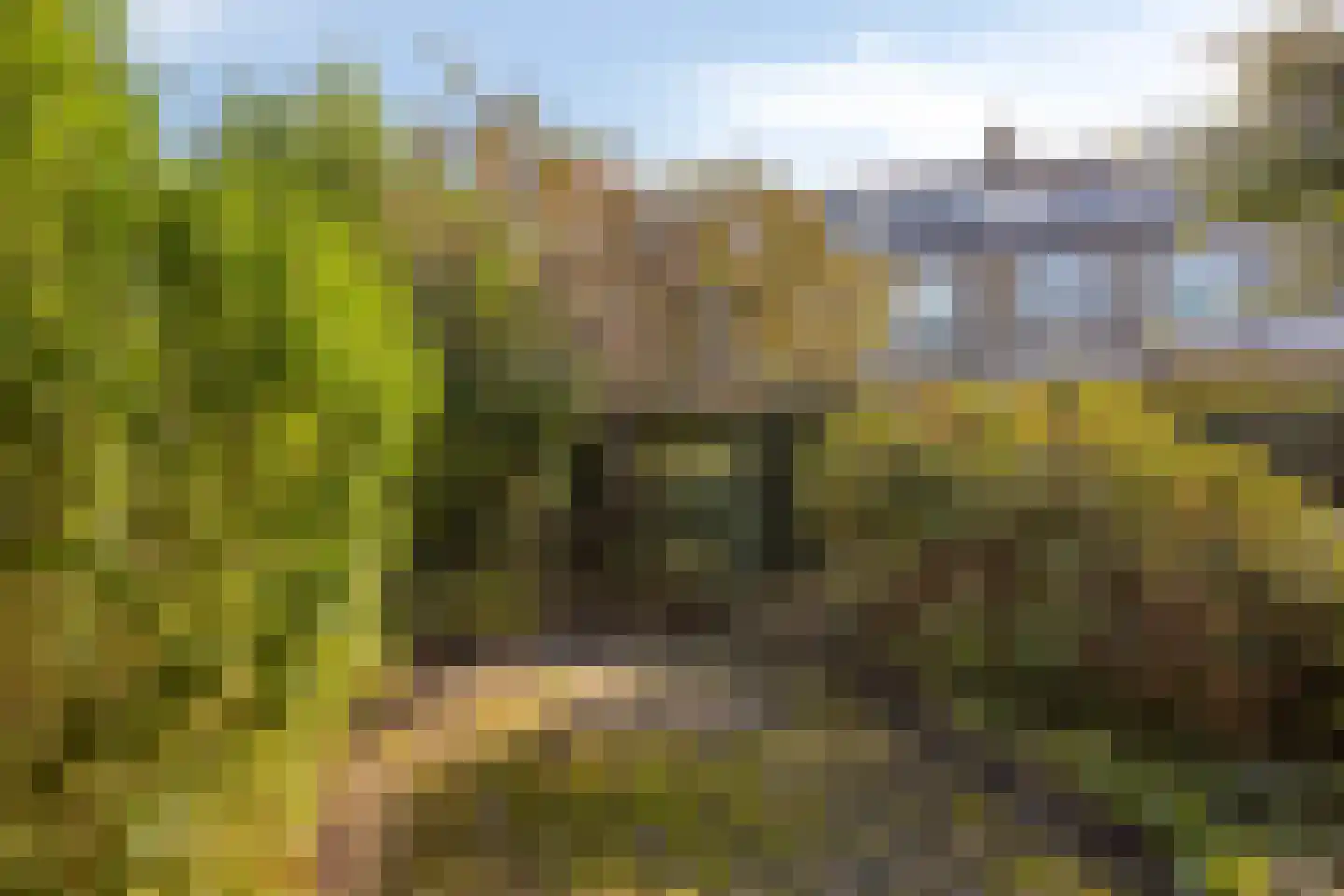 Apollostraat 9 Spijkenisse thumbnail 13