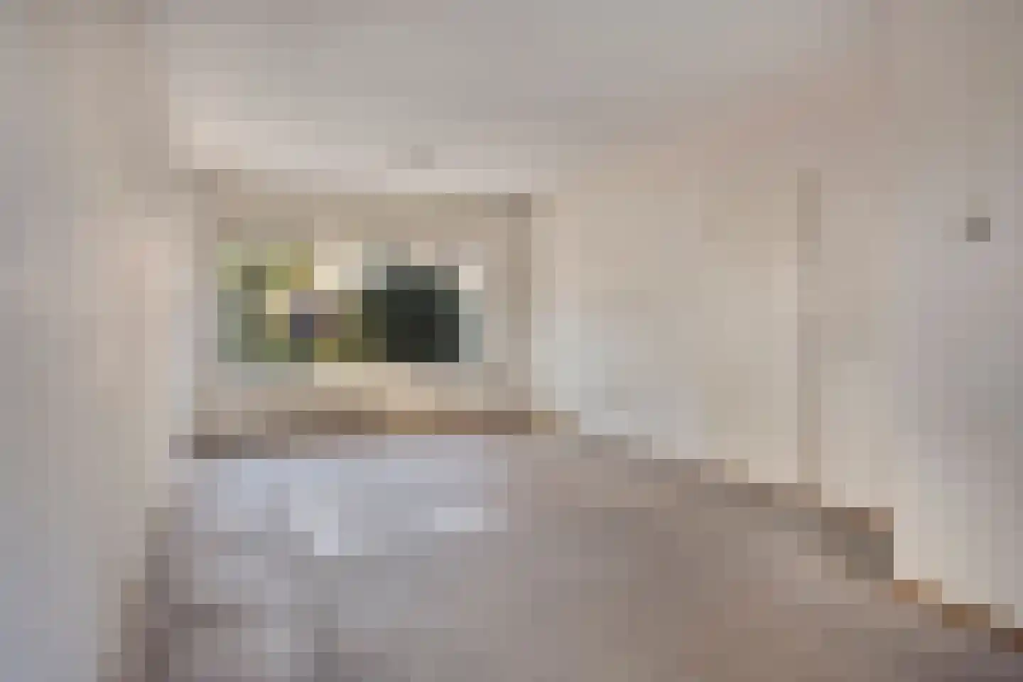 Apollostraat 9 Spijkenisse thumbnail 4