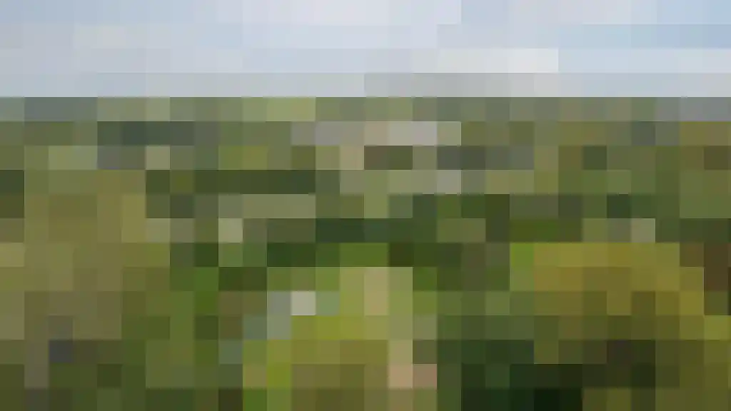 Apollotoren 136 Leiden thumbnail 32