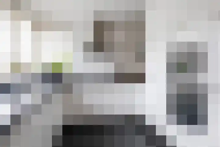 Apollovlinder 10 Bilthoven thumbnail 15