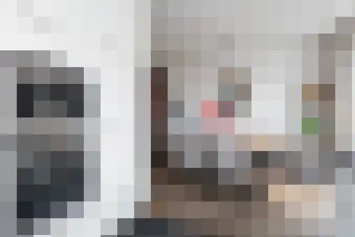 Apollovlinder 10 Bilthoven thumbnail 17
