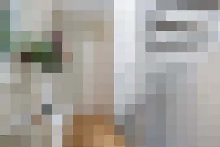 Apollovlinder 10 Bilthoven thumbnail 18