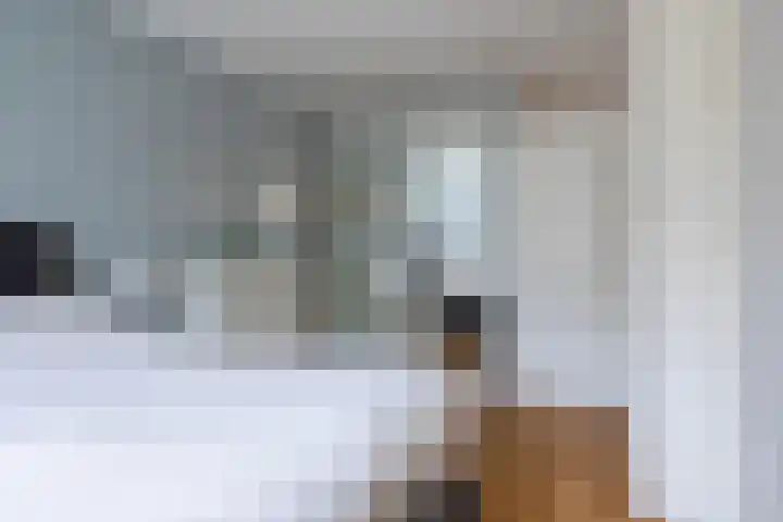 Apollovlinder 10 Bilthoven thumbnail 20