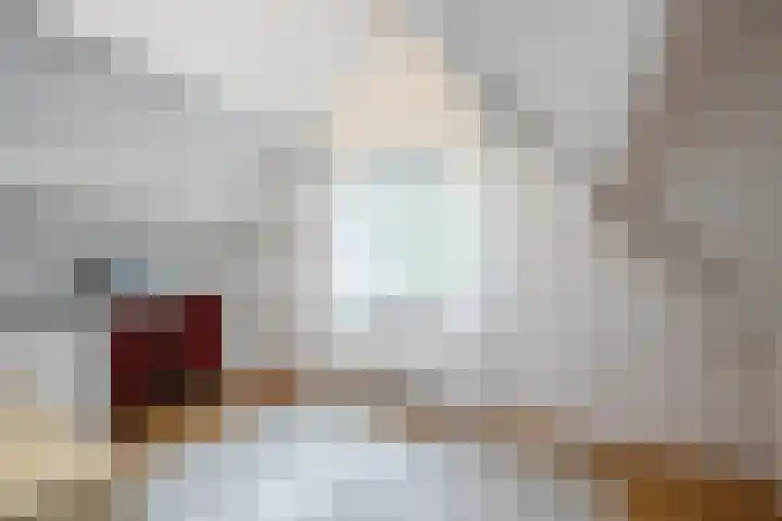 Apollovlinder 10 Bilthoven thumbnail 27
