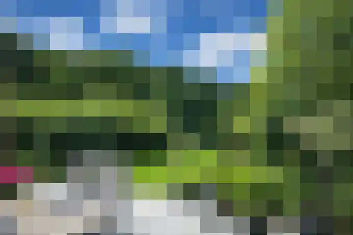 Apollovlinder 10 Bilthoven thumbnail 28