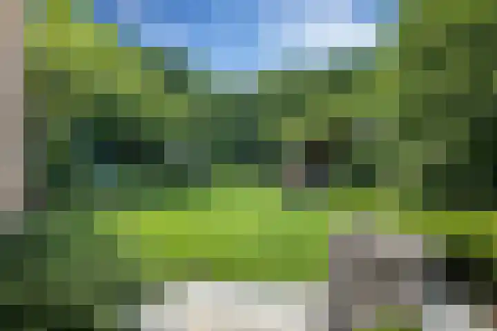 Apollovlinder 10 Bilthoven thumbnail 29