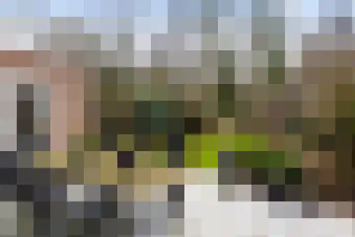 Apollovlinder 10 Bilthoven thumbnail 32