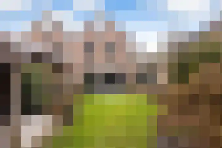 Apollovlinder 10 Bilthoven thumbnail 34