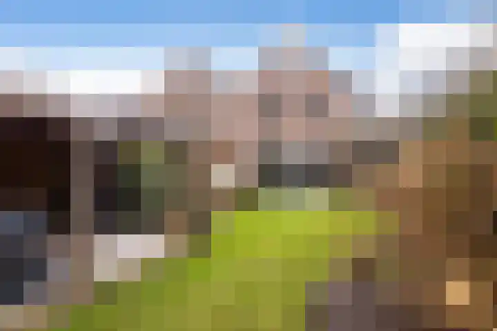 Apollovlinder 10 Bilthoven thumbnail 35