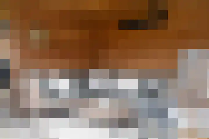 Apollovlinder 10 Bilthoven thumbnail 37