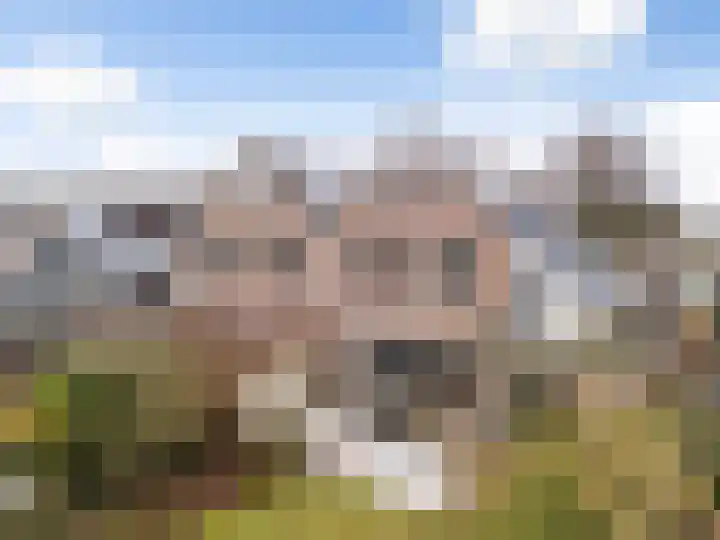 Apollovlinder 10 Bilthoven thumbnail 38
