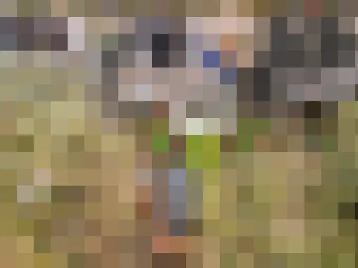 Apollovlinder 10 Bilthoven thumbnail 39