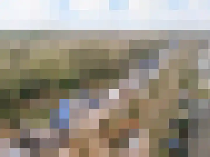 Apollovlinder 10 Bilthoven thumbnail 41