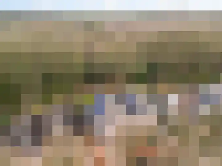 Apollovlinder 10 Bilthoven thumbnail 42