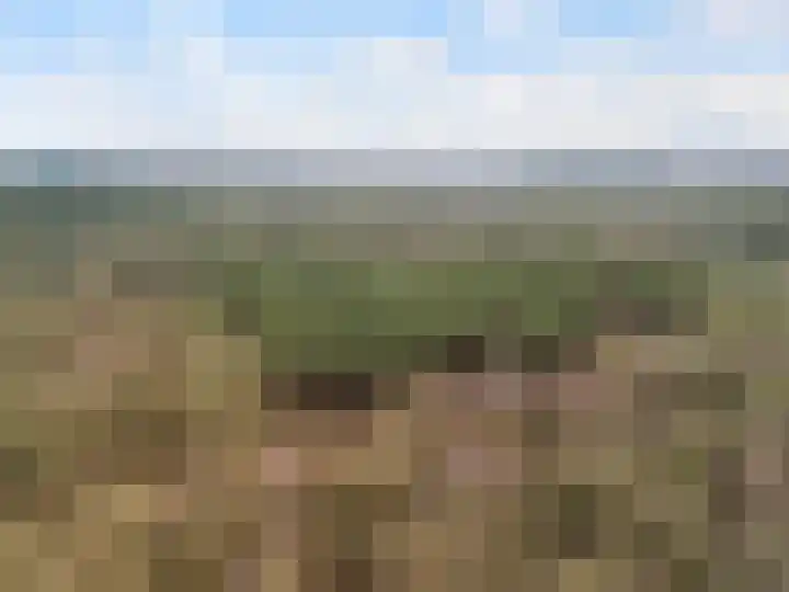 Apollovlinder 10 Bilthoven thumbnail 43