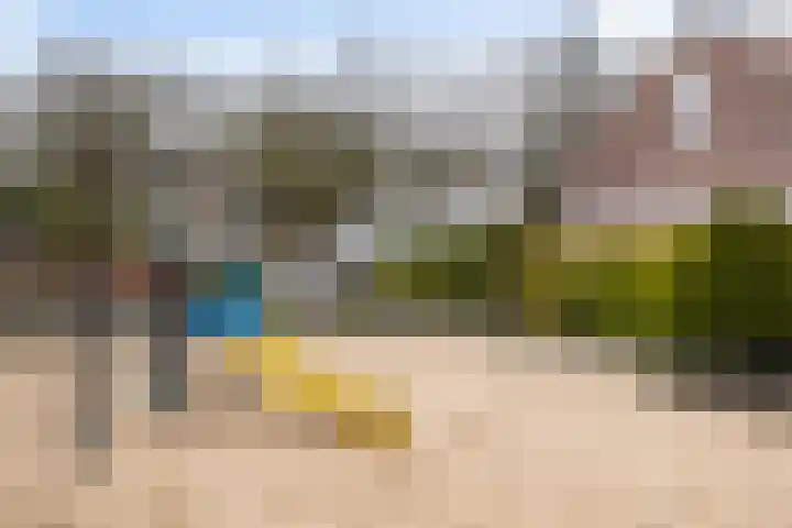 Apollovlinder 10 Bilthoven thumbnail 44