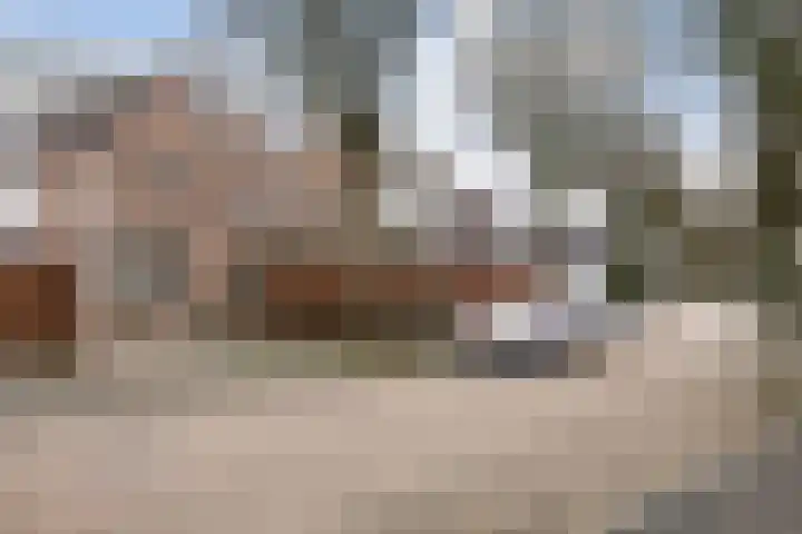 Apollovlinder 10 Bilthoven thumbnail 45
