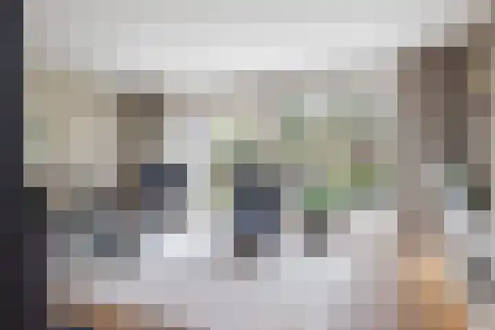 Apollovlinder 10 Bilthoven thumbnail 9