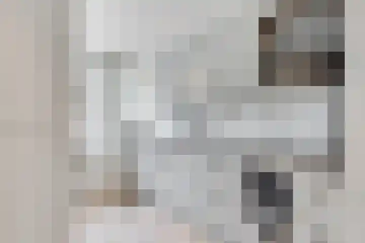 Apollovlinder 11 Bilthoven thumbnail 14