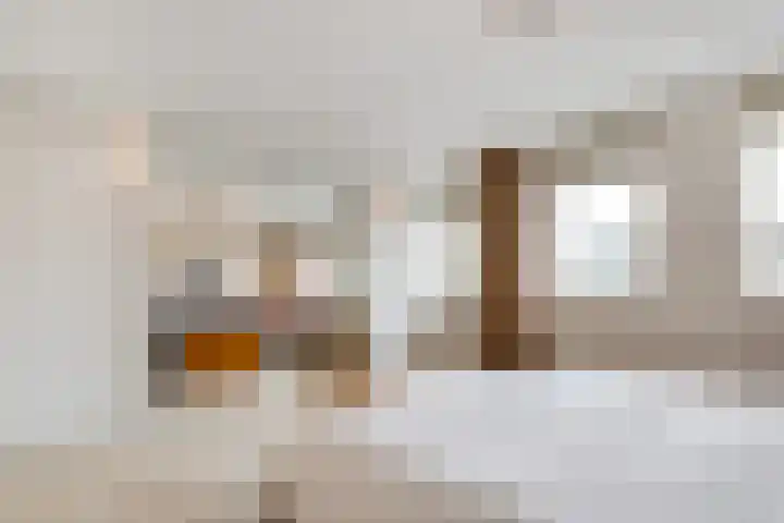 Apollovlinder 11 Bilthoven thumbnail 19