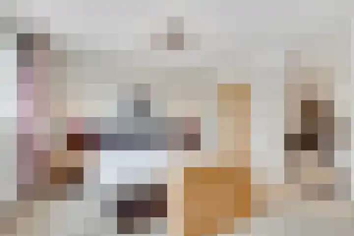 Apollovlinder 11 Bilthoven thumbnail 20