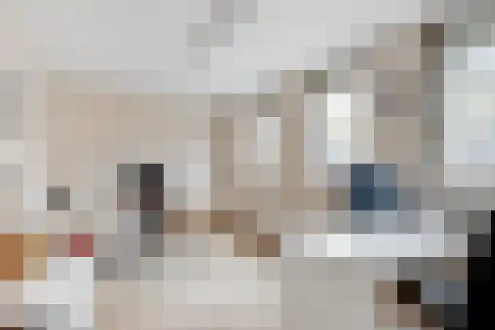 Apollovlinder 11 Bilthoven thumbnail 25