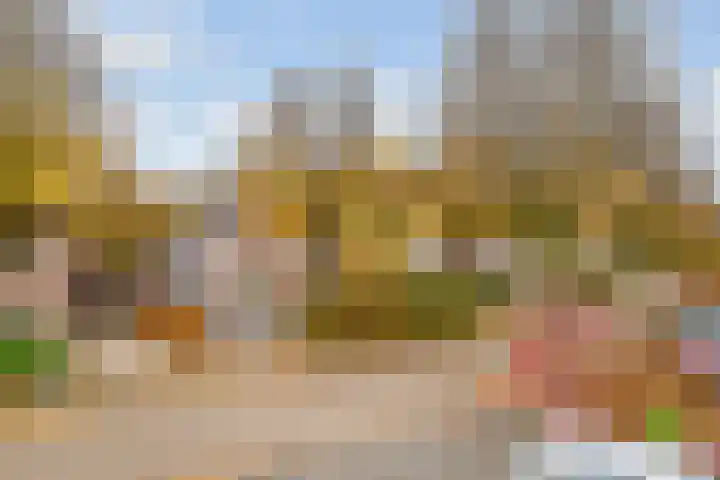 Apollovlinder 11 Bilthoven thumbnail 27