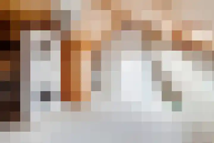 Apollovlinder 11 Bilthoven thumbnail 30