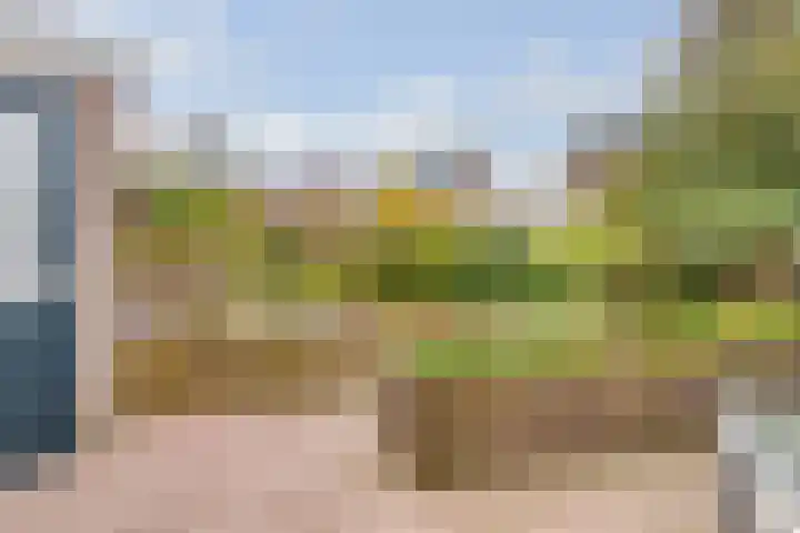 Apollovlinder 11 Bilthoven thumbnail 32