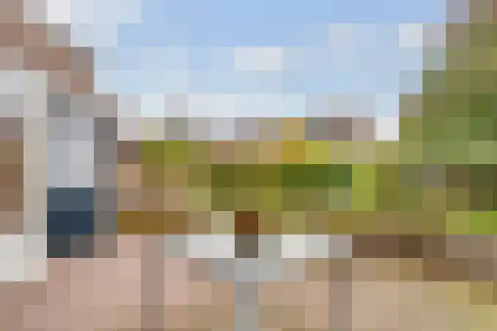 Apollovlinder 11 Bilthoven thumbnail 33