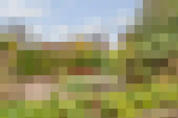 Apollovlinder 11 Bilthoven thumbnail 34
