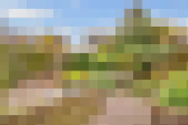 Apollovlinder 11 Bilthoven thumbnail 35