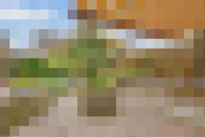 Apollovlinder 11 Bilthoven thumbnail 36