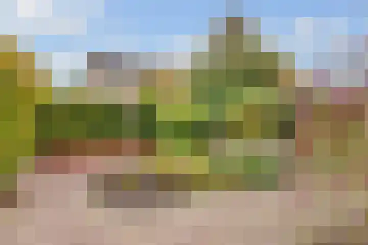 Apollovlinder 11 Bilthoven thumbnail 37
