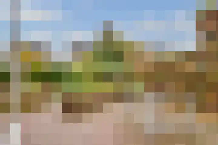 Apollovlinder 11 Bilthoven thumbnail 38