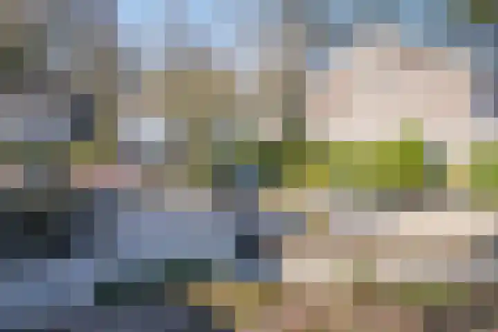 Apollovlinder 11 Bilthoven thumbnail 39