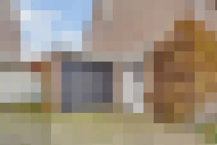 Apollovlinder 11 Bilthoven thumbnail 4