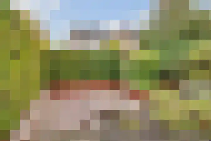 Apollovlinder 11 Bilthoven thumbnail 40