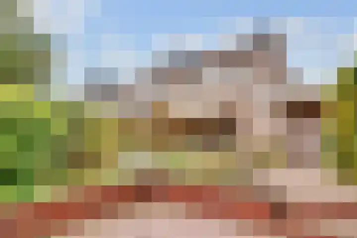 Apollovlinder 11 Bilthoven thumbnail 41