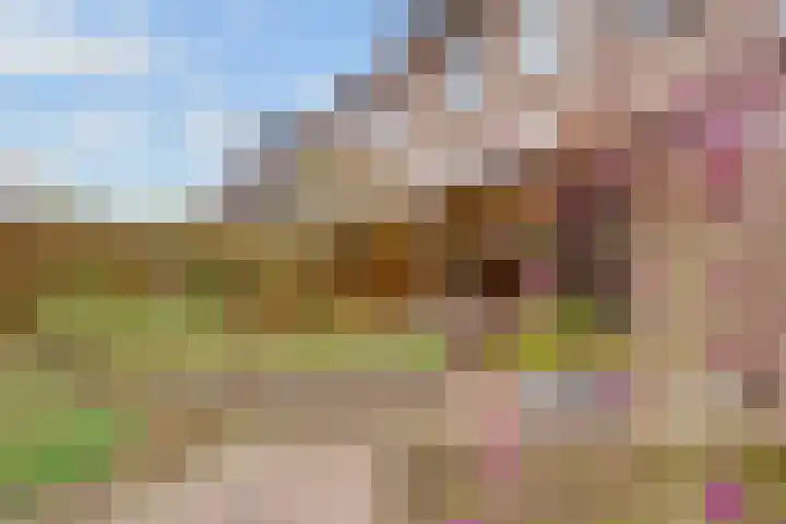 Apollovlinder 11 Bilthoven thumbnail 42