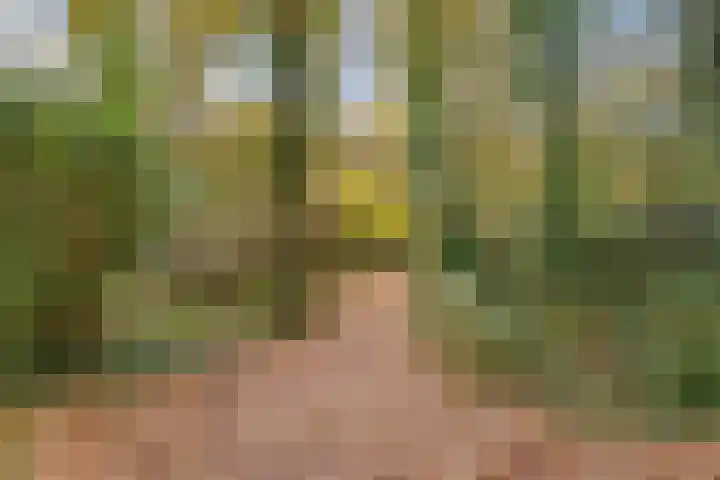 Apollovlinder 11 Bilthoven thumbnail 43