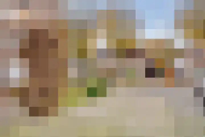 Apollovlinder 11 Bilthoven thumbnail 5