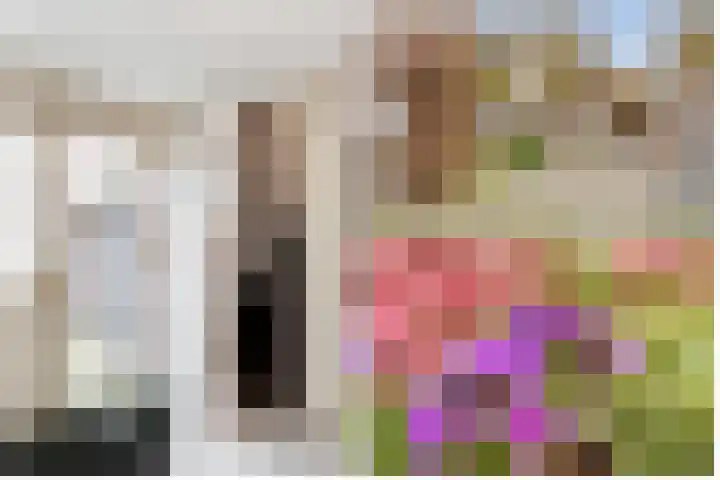 Apollovlinder 11 Bilthoven thumbnail 6