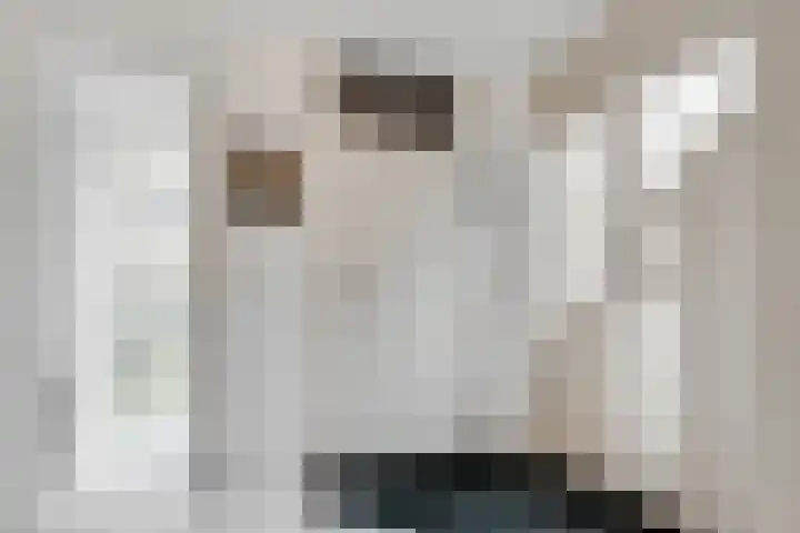 Apollovlinder 11 Bilthoven thumbnail 8