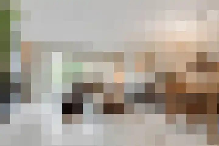 Apollovlinder 11 Bilthoven thumbnail 9
