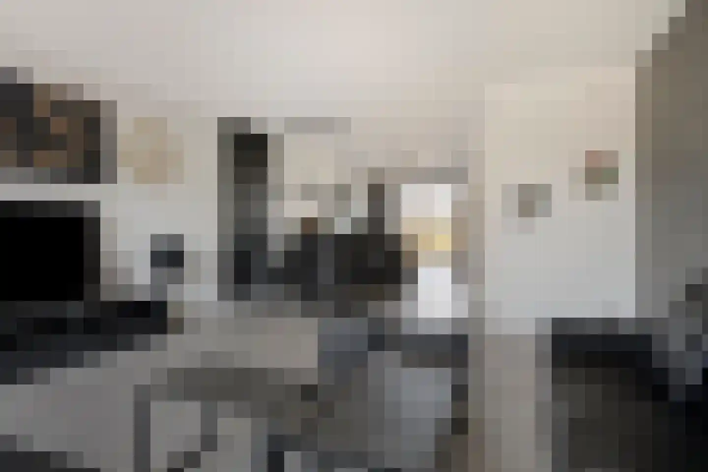 Apollovlinder 17 Terneuzen thumbnail 14