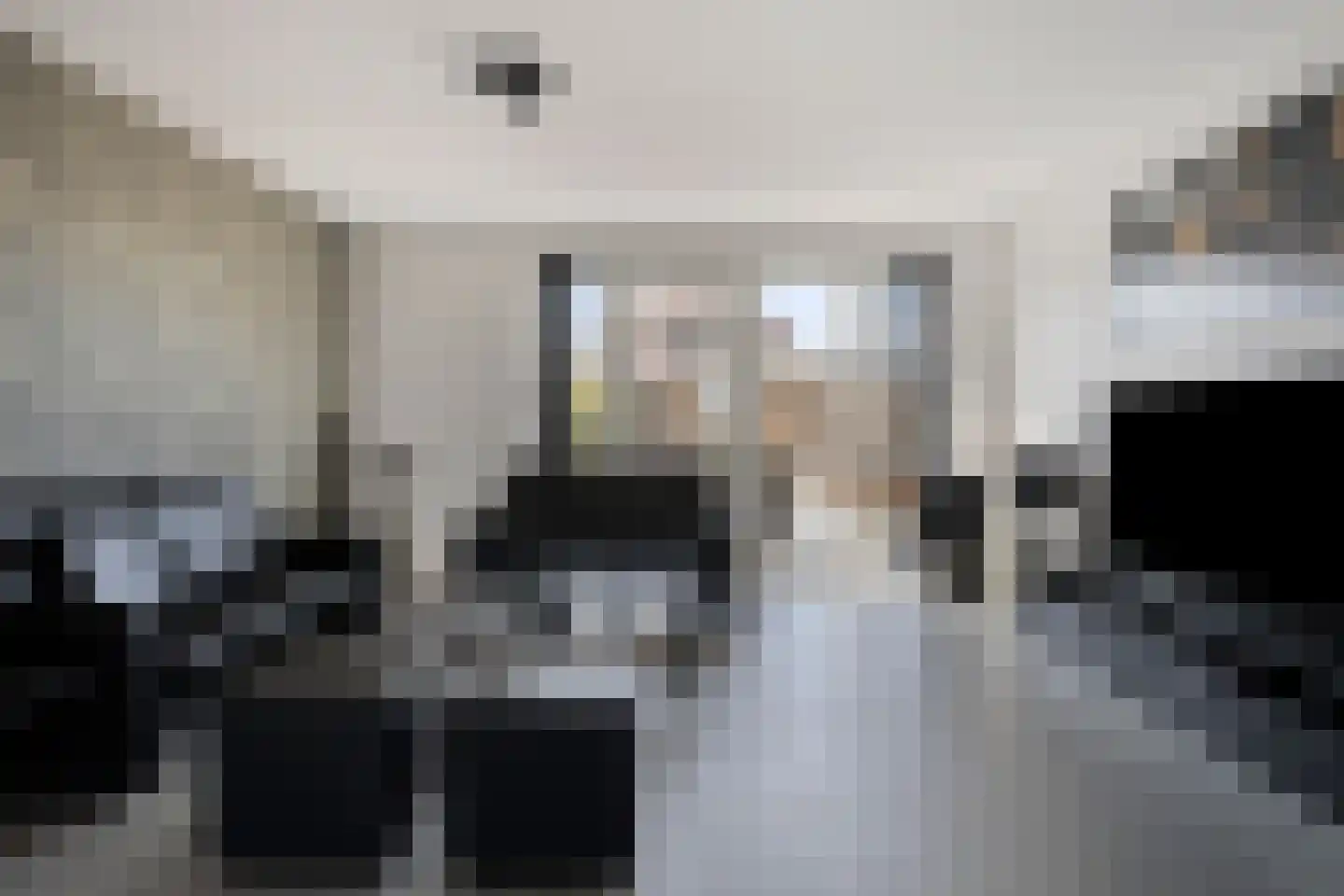 Apollovlinder 17 Terneuzen thumbnail 15