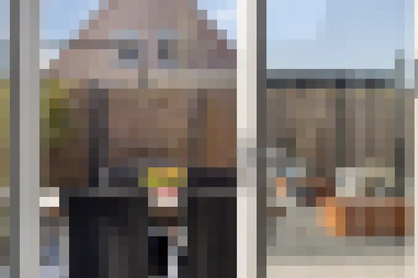 Apollovlinder 17 Terneuzen thumbnail 17